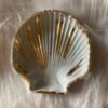 Jesmonite shell shape